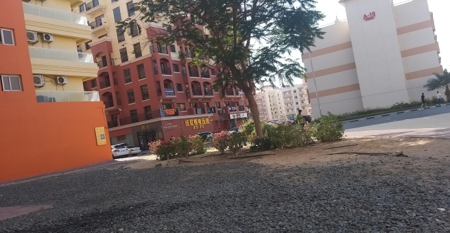 Фото номер 1 - Kunlun, restaurant - Dubai, UAE