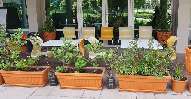 Фото номер 6 - Chettinad House, restaurant - Dubai, UAE