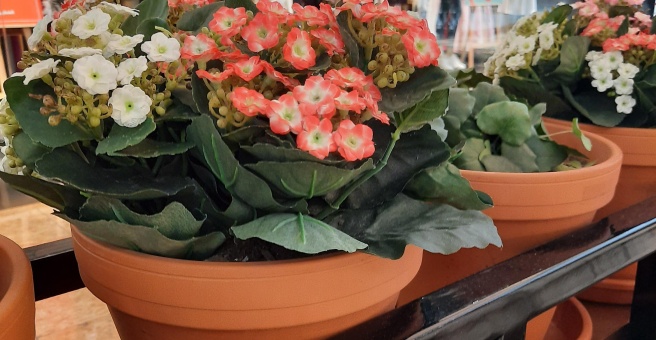 Фото номер 2 - L'ETO, cafe - Dubai, UAE