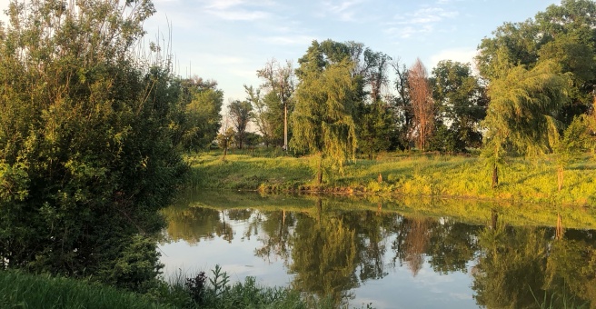 Фото номер 5 - Бай-Кол, зона отдыха - Бишкек, Кыргызстан