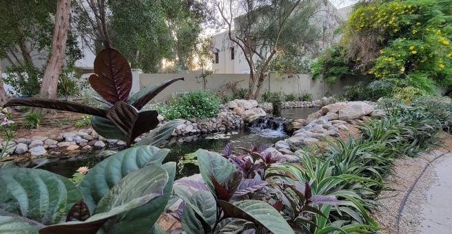 Фото номер 2 - The Farm Al Barari, restaurant - Dubai, UAE