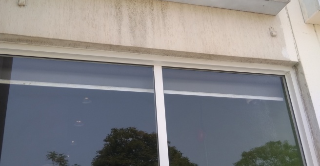 Фото номер 1 - La Casa, shisha cafe - Dubai, UAE