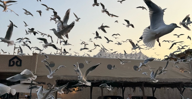 Фото номер 1 - Al Khayma Heritage, restaurant - Dubai, UAE