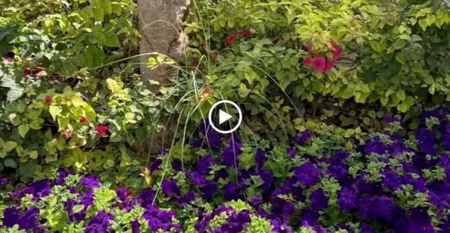 Фото номер 2 - Bunk Station, cafeteria - Dubai, UAE