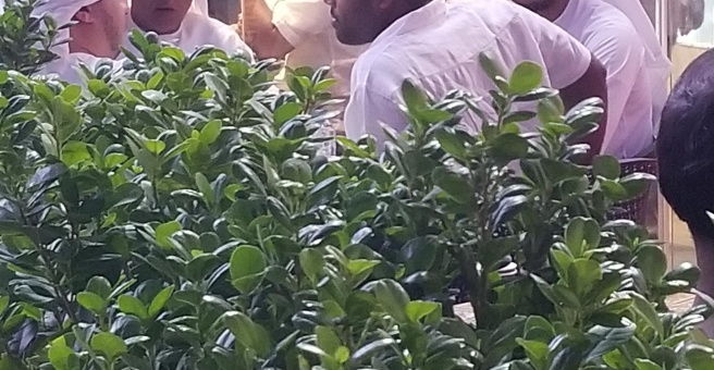 Фото номер 4 - Spice N Nice, indian restaurant - Dubai, UAE