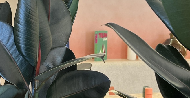 Фото номер 3 - Charlie & Friends, cafe - Dubai, UAE