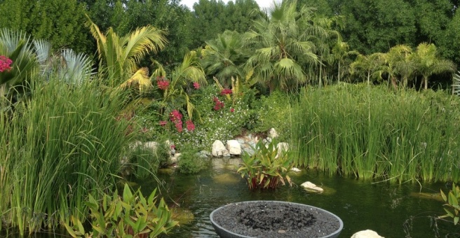 Фото номер 3 - The Farm Al Barari, restaurant - Dubai, UAE