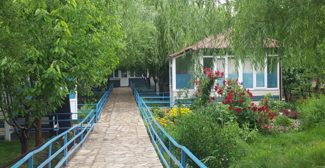Фото номер 5 - Сакура, чайхана - Бишкек, Кыргызстан