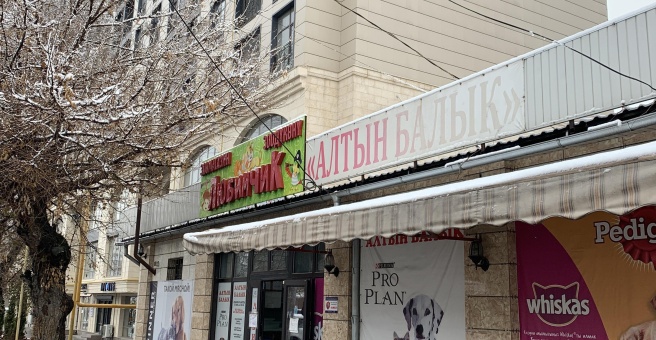 Фото номер 1 - Вокруг теста, кафе - Бишкек, Кыргызстан