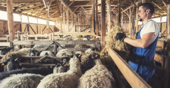 Фото номер 3 - Teklos, butchery and grill restaurant - Dubai, UAE