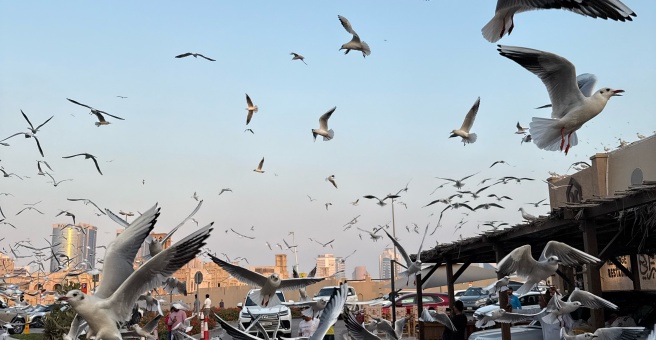 Фото номер 6 - Al Khayma Heritage, restaurant - Dubai, UAE