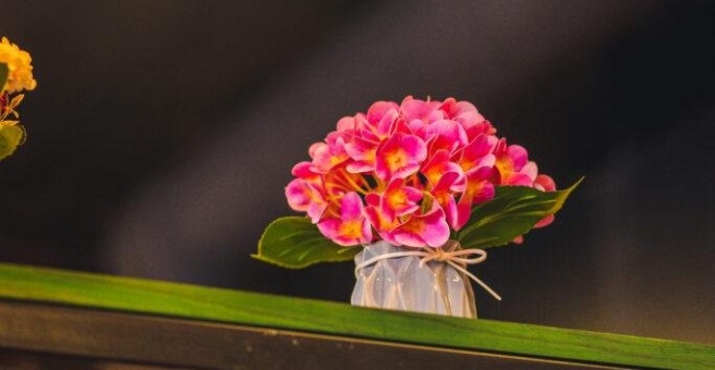 Фото номер 2 - Tara , cafe - Dubai, UAE