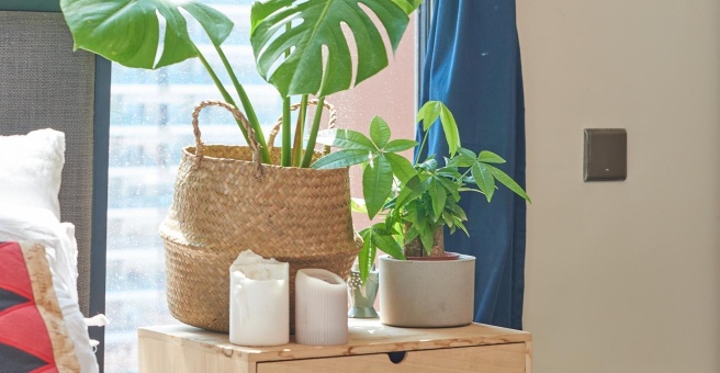 Фото номер 1 - Ivy's Secret Garden, cafe - Dubai, UAE