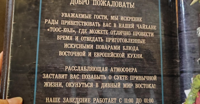 Фото номер 3 - Тоос-Кол, чайхана - Бишкек, Кыргызстан