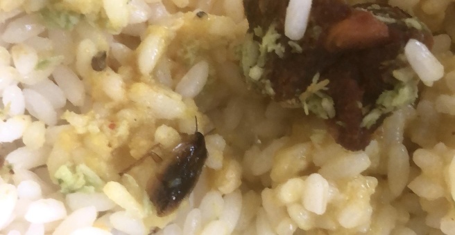 Фото номер 1 - New Star One, restaurant - Dubai, UAE