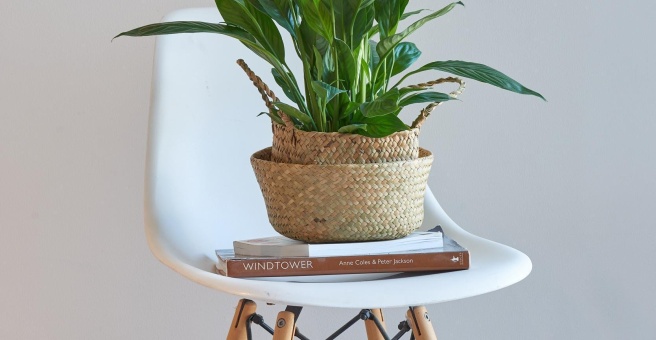 Фото номер 5 - Ivy's Secret Garden, cafe - Dubai, UAE