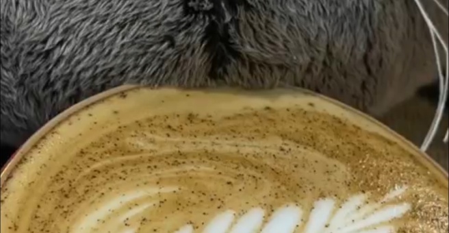Фото номер 6 - Gurman coffee, кофейня - Алматы, Казахстан