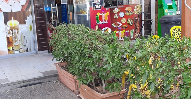 Фото номер 1 - Chaya Kada, cafeteria - Dubai, UAE