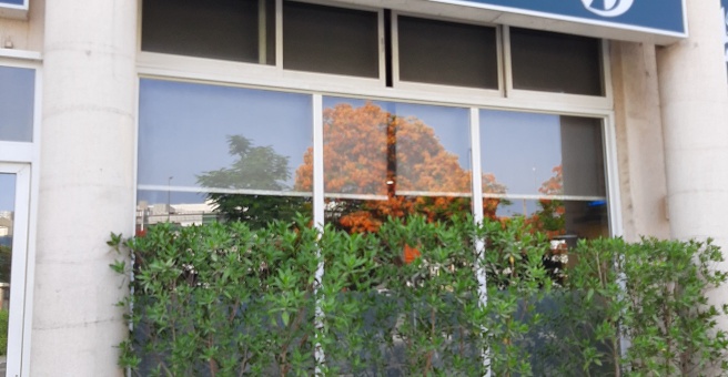 Фото номер 2 - La Casa, shisha cafe - Dubai, UAE