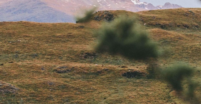 Фото номер 3 - Mr.Miyagi's, asian restaurant - Dubai, UAE