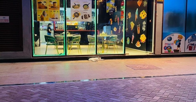 Фото номер 2 - Crepe Castle, cafe - Dubai, UAE