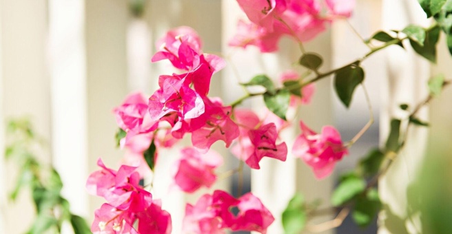 Фото номер 2 - 100 Cafe - Dubai, UAE