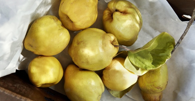 Фото номер 1 - Quince Restaurant - Dubai, UAE