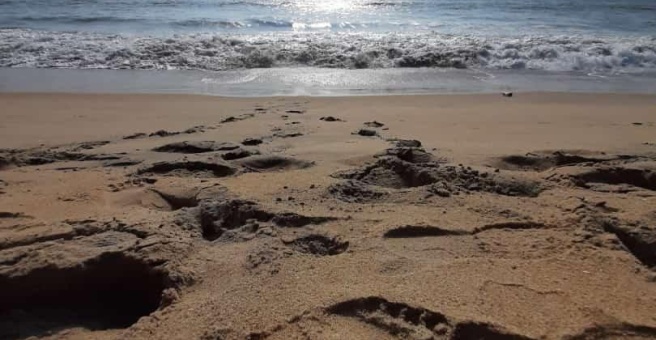 Фото номер 2 - Pak Sarhad Restaurant - Dubai, UAE