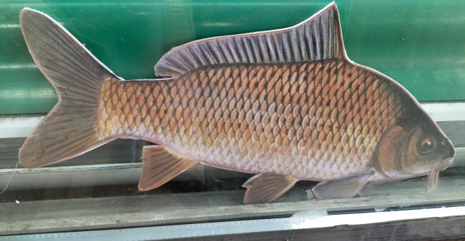 Фото номер 4 - Шашлычок - Астана, Казахстан