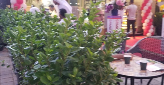 Фото номер 1 - Spice N Nice, indian restaurant - Dubai, UAE