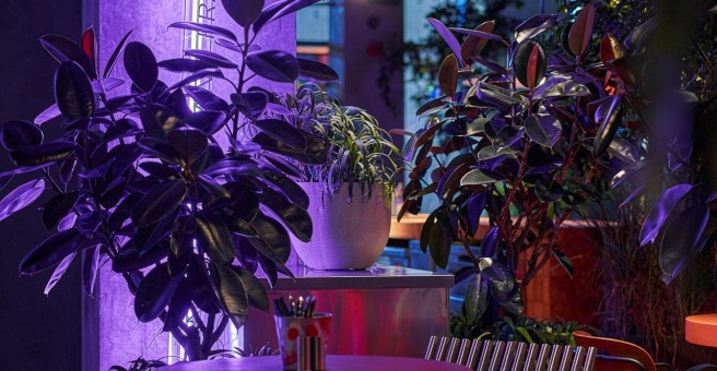 Фото номер 6 - Frank, restaurant - Dubai, UAE